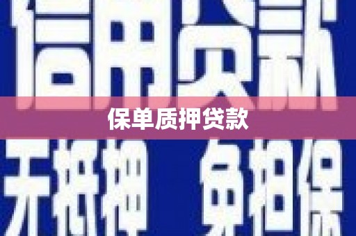 朔城保单质押贷款