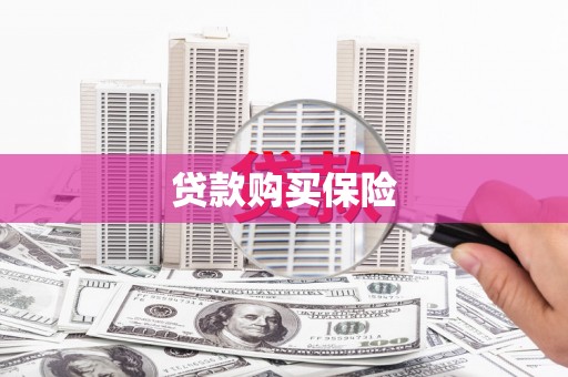 万秀贷款购买保险