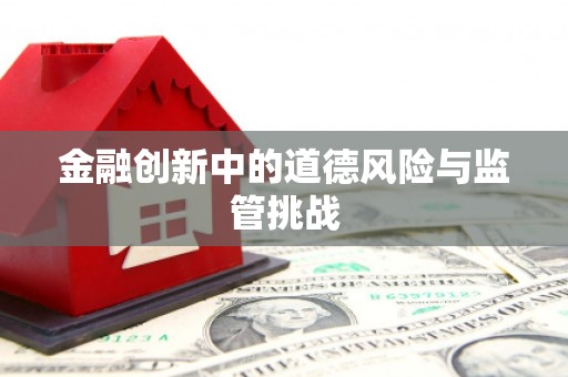 会同金融创新中的道德风险与监管挑战